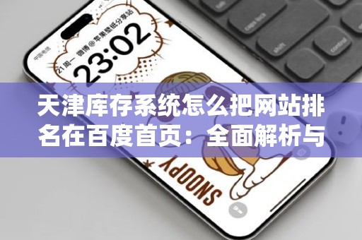 天津库存系统怎么把网站排名在百度首页：全面解析与实用策略
