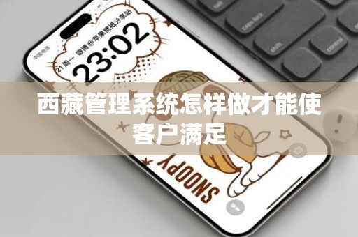 西藏管理系统怎样做才能使客户满足