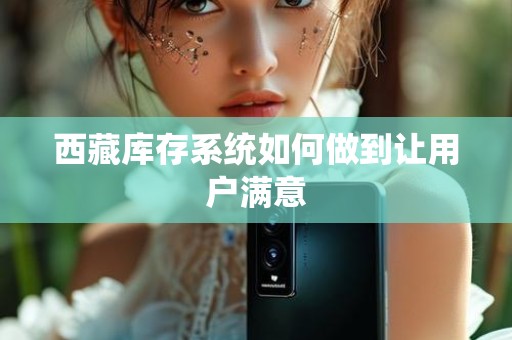 西藏库存系统如何做到让用户满意