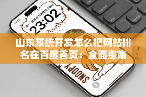 山东系统开发怎么把网站排名在百度首页：全面指南
