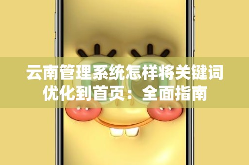 云南管理系统怎样将关键词优化到首页：全面指南