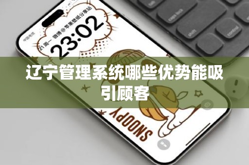 辽宁管理系统哪些优势能吸引顾客