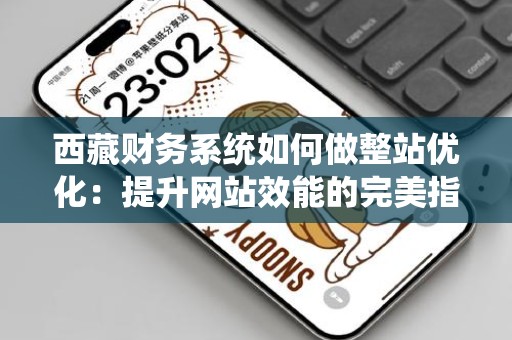 西藏财务系统如何做整站优化：提升网站效能的完美指南