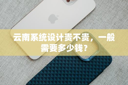 云南系统设计贵不贵，一般需要多少钱？