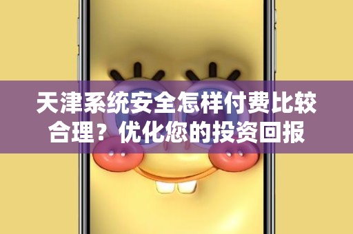 天津系统安全怎样付费比较合理？优化您的投资回报