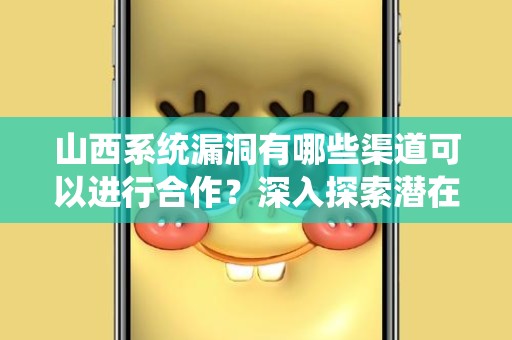 山西系统漏洞有哪些渠道可以进行合作？深入探索潜在的合作路径