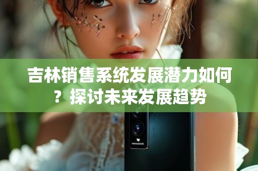 吉林销售系统发展潜力如何？探讨未来发展趋势