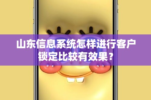 山东信息系统怎样进行客户锁定比较有效果？