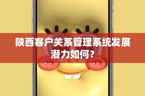 陕西客户关系管理系统发展潜力如何？