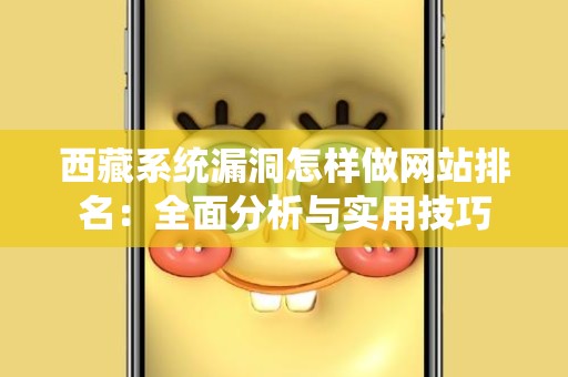 西藏系统漏洞怎样做网站排名：全面分析与实用技巧