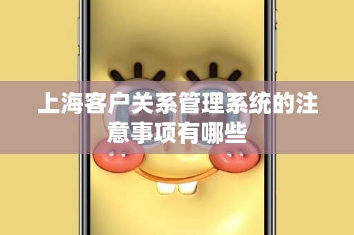 上海客户关系管理系统的注意事项有哪些