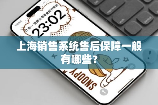 上海销售系统售后保障一般有哪些？