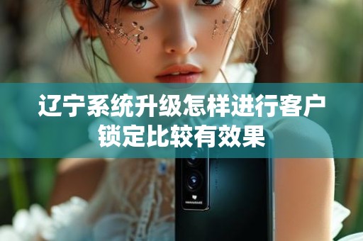 辽宁系统升级怎样进行客户锁定比较有效果