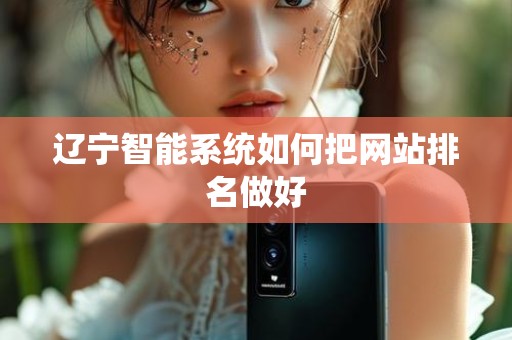 辽宁智能系统如何把网站排名做好