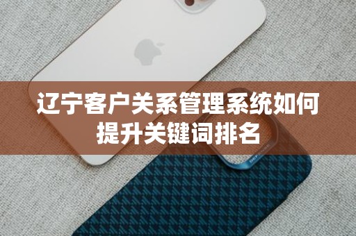 辽宁客户关系管理系统如何提升关键词排名