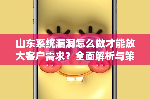 山东系统漏洞怎么做才能放大客户需求？全面解析与策略