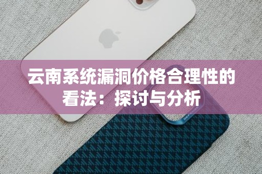 云南系统漏洞价格合理性的看法：探讨与分析