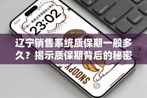 辽宁销售系统质保期一般多久？揭示质保期背后的秘密