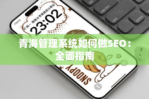 青海管理系统如何做SEO：全面指南