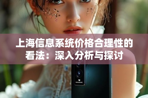 上海信息系统价格合理性的看法：深入分析与探讨