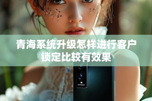 青海系统升级怎样进行客户锁定比较有效果