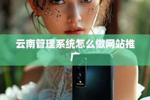 云南管理系统怎么做网站推广