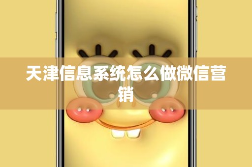 天津信息系统怎么做微信营销