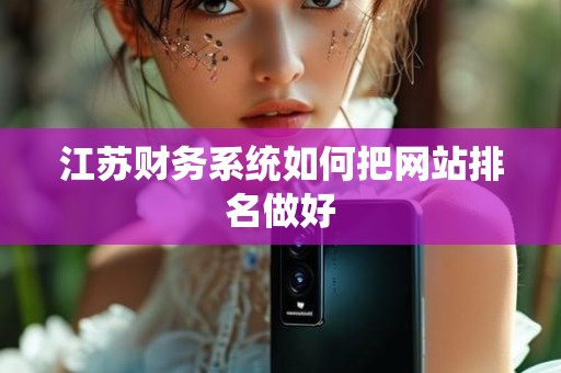 江苏财务系统如何把网站排名做好