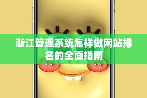 浙江管理系统怎样做网站排名的全面指南