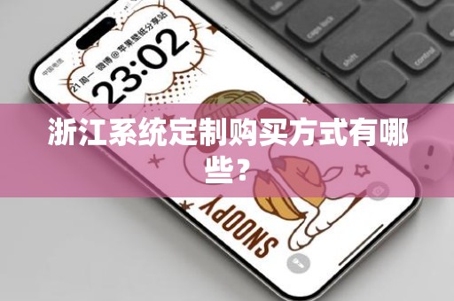 浙江系统定制购买方式有哪些？