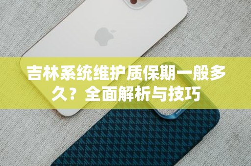 吉林系统维护质保期一般多久？全面解析与技巧