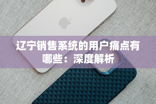 辽宁销售系统的用户痛点有哪些：深度解析