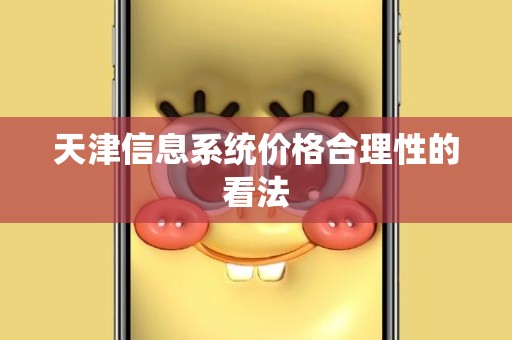 天津信息系统价格合理性的看法