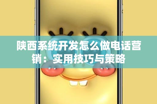 陕西系统开发怎么做电话营销：实用技巧与策略