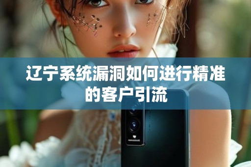 辽宁系统漏洞如何进行精准的客户引流
