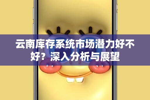 云南库存系统市场潜力好不好？深入分析与展望