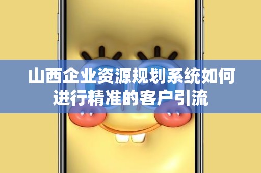 山西企业资源规划系统如何进行精准的客户引流
