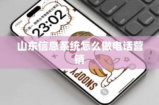 山东信息系统怎么做电话营销