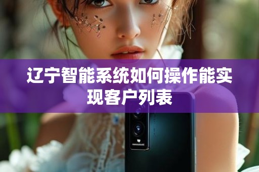 辽宁智能系统如何操作能实现客户列表