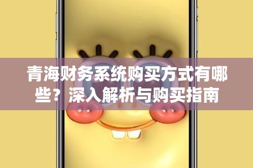 青海财务系统购买方式有哪些？深入解析与购买指南
