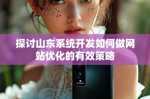 探讨山东系统开发如何做网站优化的有效策略