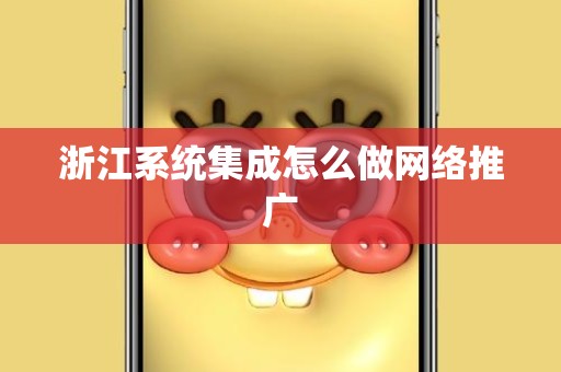 浙江系统集成怎么做网络推广