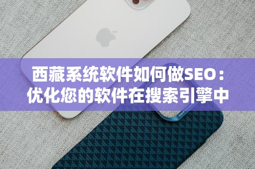 西藏系统软件如何做SEO：优化您的软件在搜索引擎中的表现