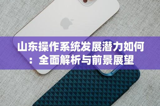山东操作系统发展潜力如何：全面解析与前景展望