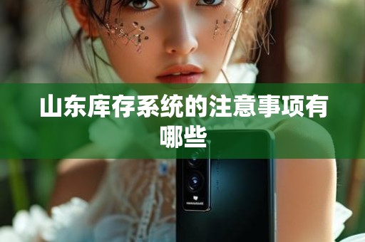 山东库存系统的注意事项有哪些