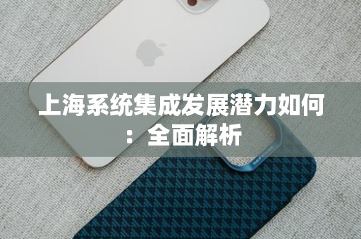 上海系统集成发展潜力如何：全面解析