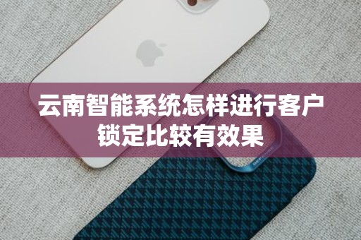云南智能系统怎样进行客户锁定比较有效果