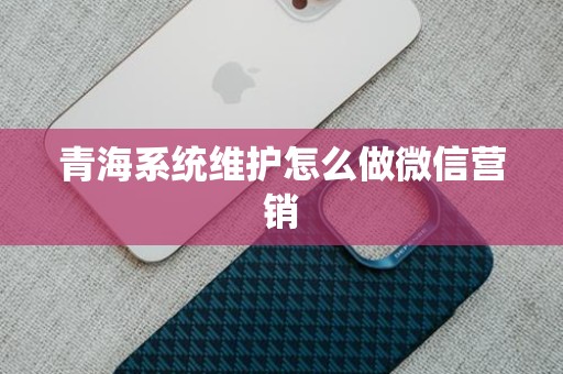 青海系统维护怎么做微信营销
