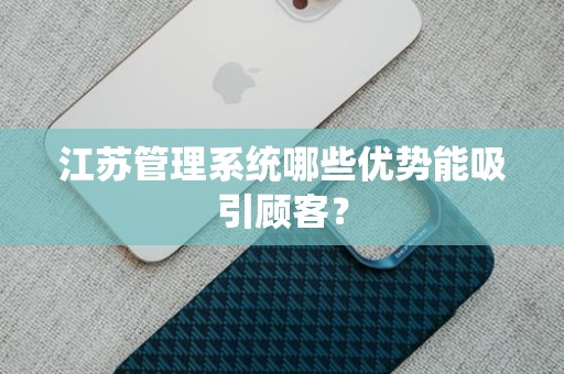 江苏管理系统哪些优势能吸引顾客？