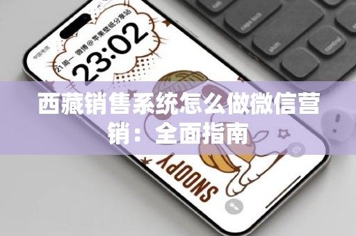 西藏销售系统怎么做微信营销：全面指南